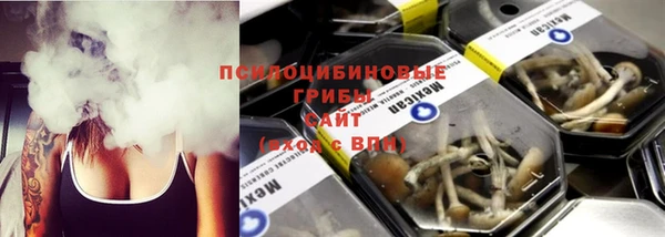 марки nbome Богданович