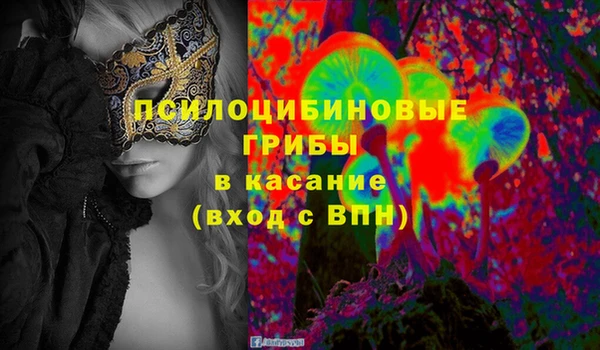 дурь Богородск