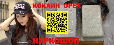 стаф Можга