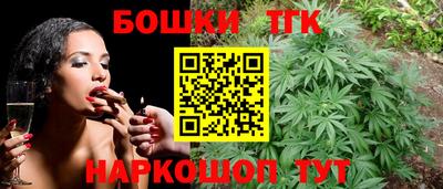 стаф Можга