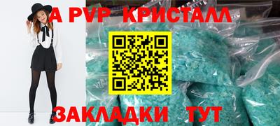 стаф Можга