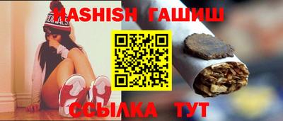 стаф Можга