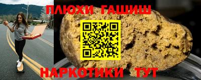 стаф Можга