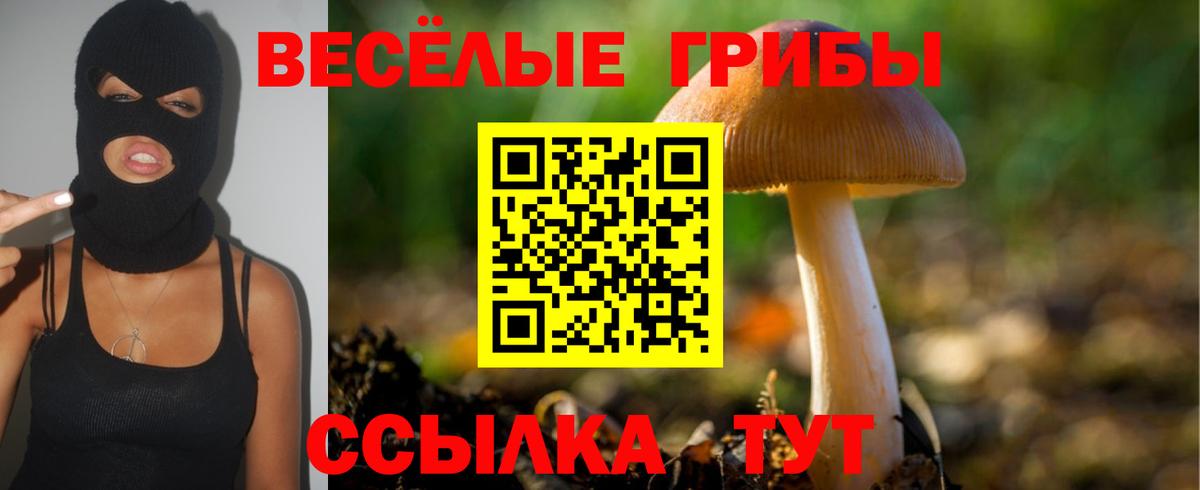 Улан-Удэ  Псилоцибиновые грибы ЛСД  Псилоцибиновые грибы GOLDEN TEACHER  Вход с VPN 